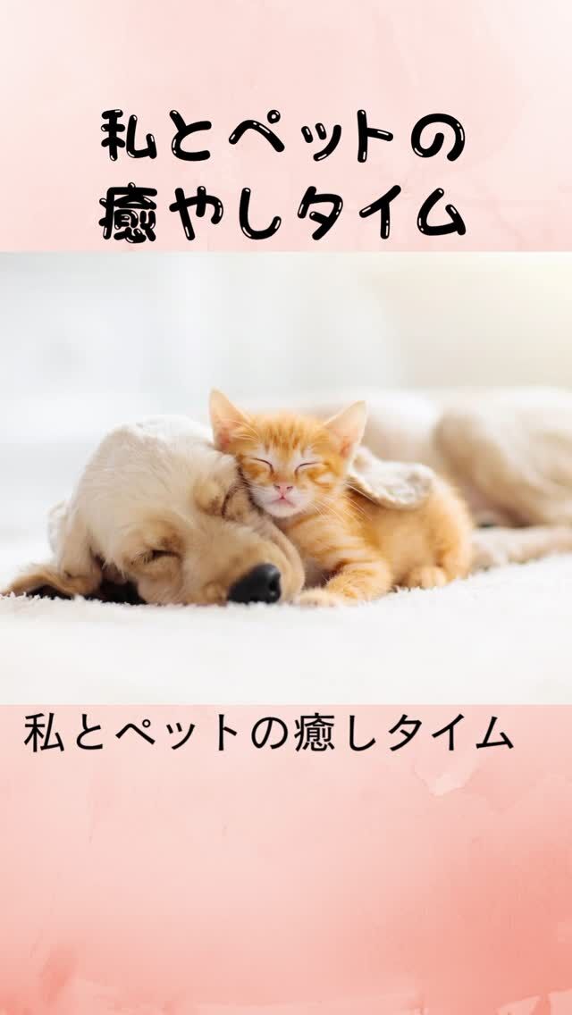 ペット鍼灸入門動画講座、6月も配信しています！
詳しくはプロフからホームページまたはハイライトを見てくださいね。  #ペット鍼灸 
#ペット鍼灸セラピー 
#ペット鍼灸入門講座 
#東洋医学でペットのケア 
#滋賀ペット治療院