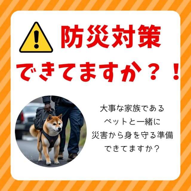 滋賀ペット治療院です。  6月29日（日）、13時から名古屋市のプアララさんで「ペットの防災と鍼灸ケア講座」を開催します。  7月に本当に大きな災害が起きるのかどうかはわかりません。
でも、災害はいつ起こるかわからないから災害なのです。  これを機会にペットと一緒に災害を乗り切るためにどうすれびいいのかお話ししたいと思います。  詳しくはホームページまたはプロフからハイライトをご覧ください。  Facebookの方は下記のリンクをご覧ください。  <a rel=
